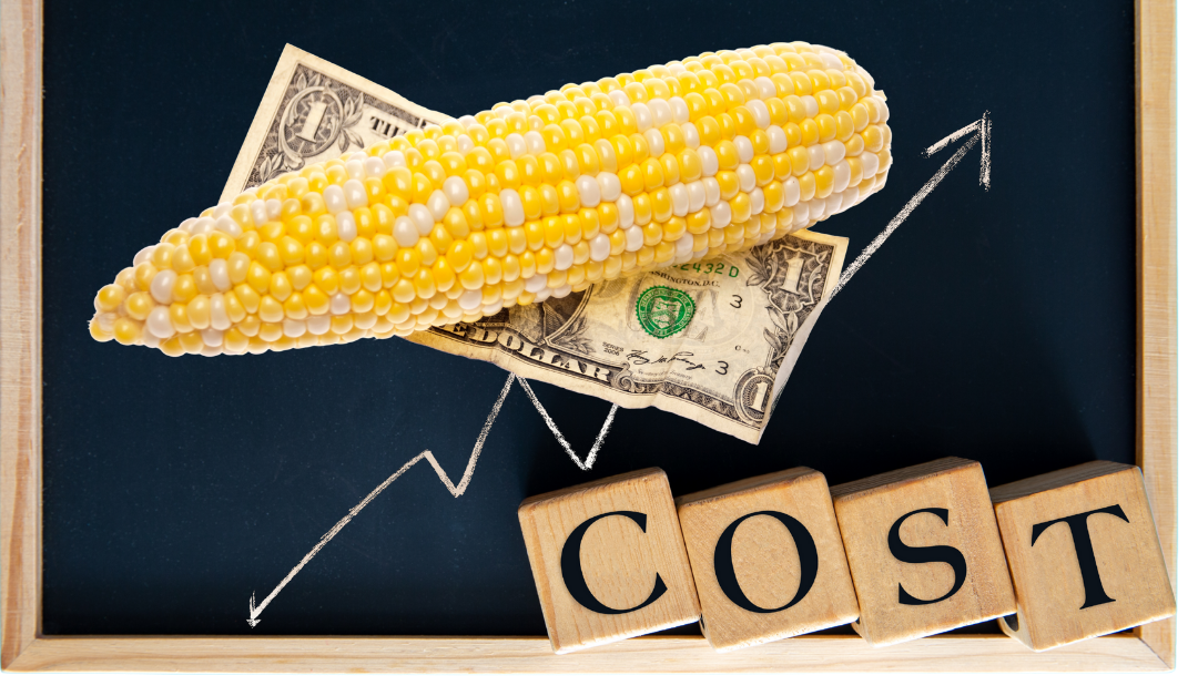 Animal Feed Nutrition Additives