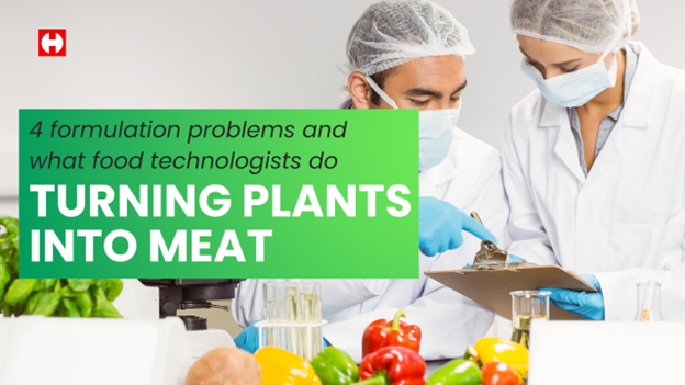 [Plant-based Meat Analogues] 4 Formulation Problems and What Food Technologists Do